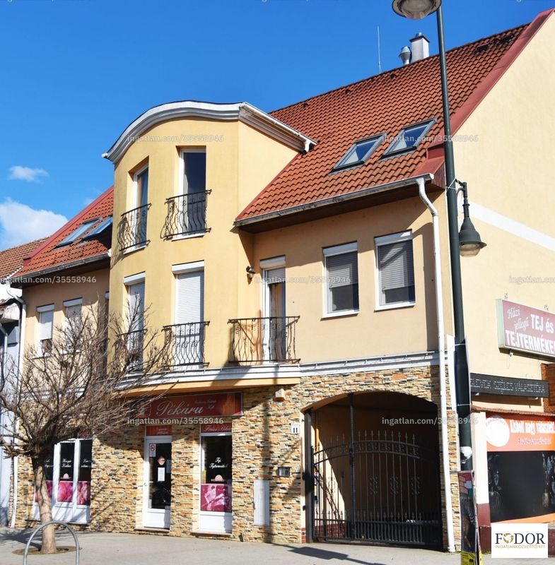 Ingatlan kép