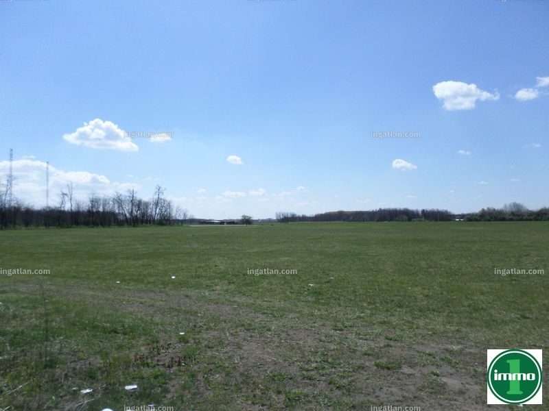 Foto auflisten