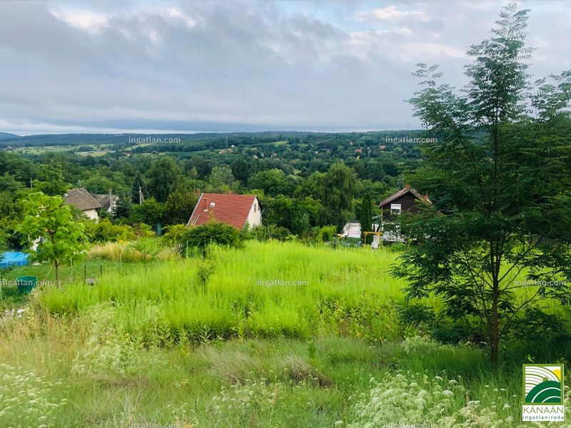 kilátás