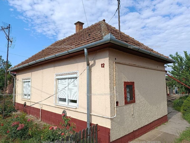 Ingatlan kép