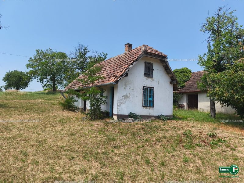 Ingatlan kép